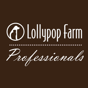 Team Page: The Lollypop Professionals 